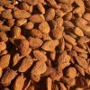 Amandes décortiquées  (250g) 15,8e/Kg