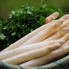 asperges  blanches    (500g)    11,00e/Kg