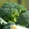 Choux Brocoli (vendu au kg)