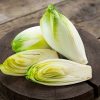 Endive  ( 500g)   7,9e/Kg