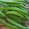 Fèves  (500g)   4,60e/Kg
