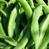 Haricot plat Bio ( vendu en 500g) 9,2e/Kg