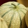 Melon Charentais   vendu à l'unité ( 0,7 kg )