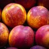 Nectarine jaune   (Lot de 500g) 7,60e/Kg