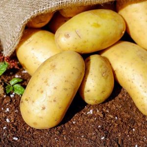 Pomme de terre Nouvelle "maiwen" vendu au Kg