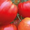 Tomates coeur de boeuf 