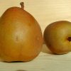 Poires Beurré Hardy (vendu au Kg)