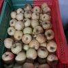 Pomme à cuire / à compote (vendu au Kg)
