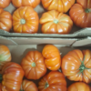 Tomate Cotelée rouge (vendu au Kg)