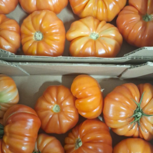 Tomate Cotelée rouge (vendu au Kg)
