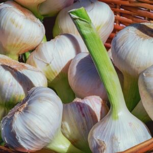 Ail frais Nouvelle récolte (200g) 14e/Kg
